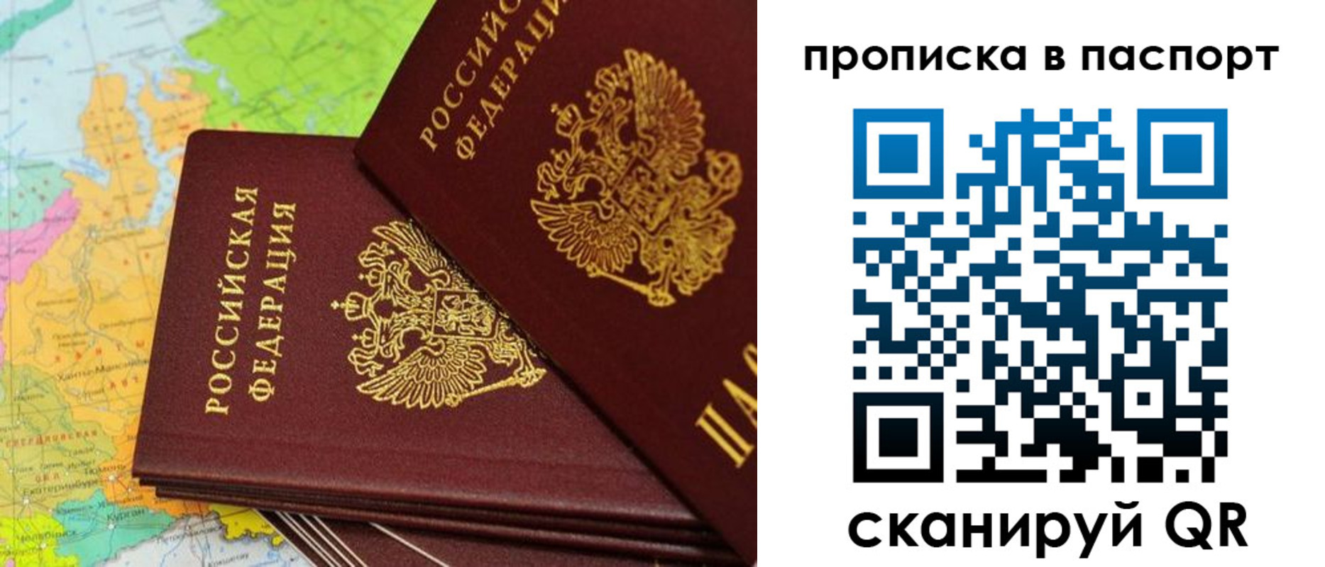 прописка поиск в Звенигово